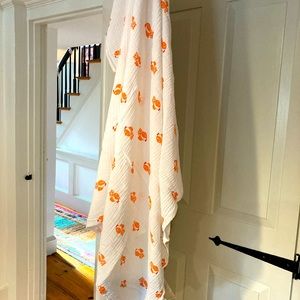 Aden and Anais Swaddle Blankets